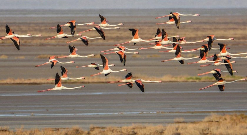  تالاب گاوخونی شهرستان اصفهان استان اصفهان