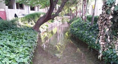  مادی فرشادی شهرستان اصفهان استان اصفهان