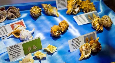  موزه صدف اصفهان شهرستان اصفهان استان اصفهان