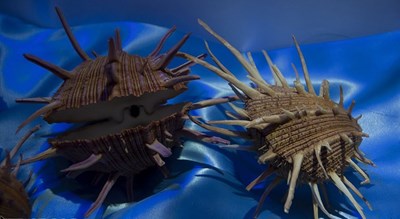 موزه صدف اصفهان -  شهر اصفهان