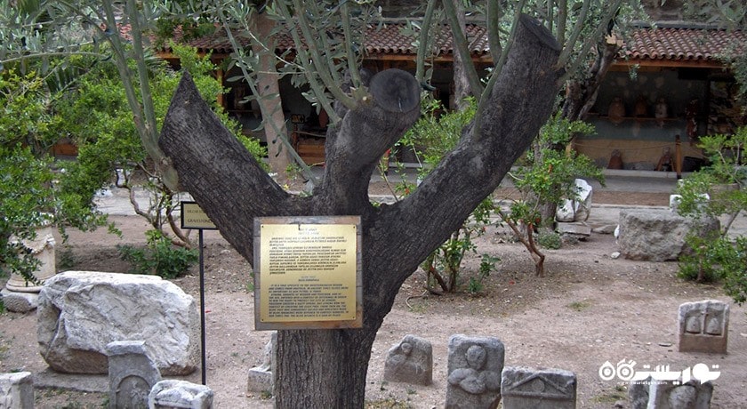 موزه باستان شناسی زیر آب -  شهر بدروم