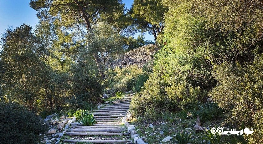  شهر تاریخی پداسا شهر ترکیه کشور بدروم