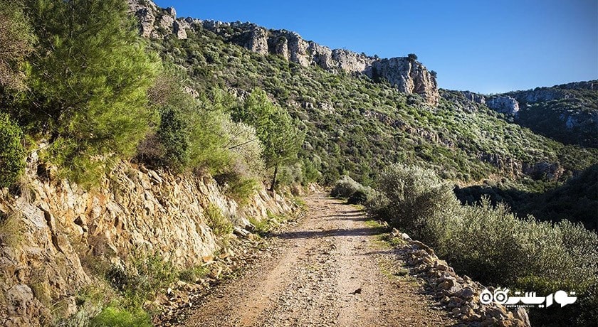  شهر تاریخی پداسا شهر ترکیه کشور بدروم