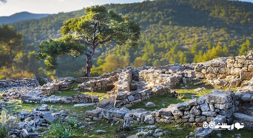  شهر تاریخی پداسا شهر ترکیه کشور بدروم