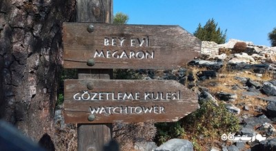  شهر تاریخی پداسا شهر ترکیه کشور بدروم