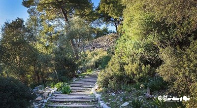  شهر تاریخی پداسا شهر ترکیه کشور بدروم