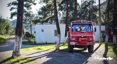  شهر تاریخی پداسا شهر ترکیه کشور بدروم