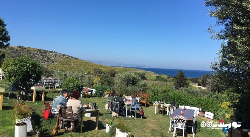 رستوران رستوران لیمون شهر بدروم 