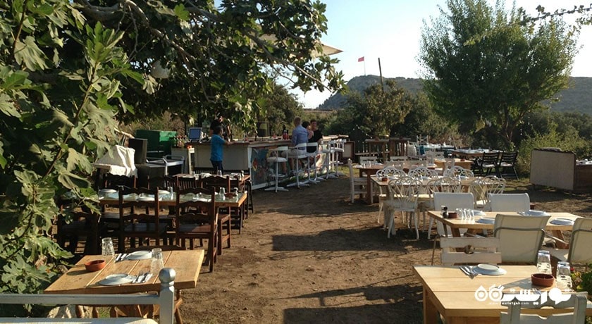 رستوران رستوران لیمون شهر بدروم 