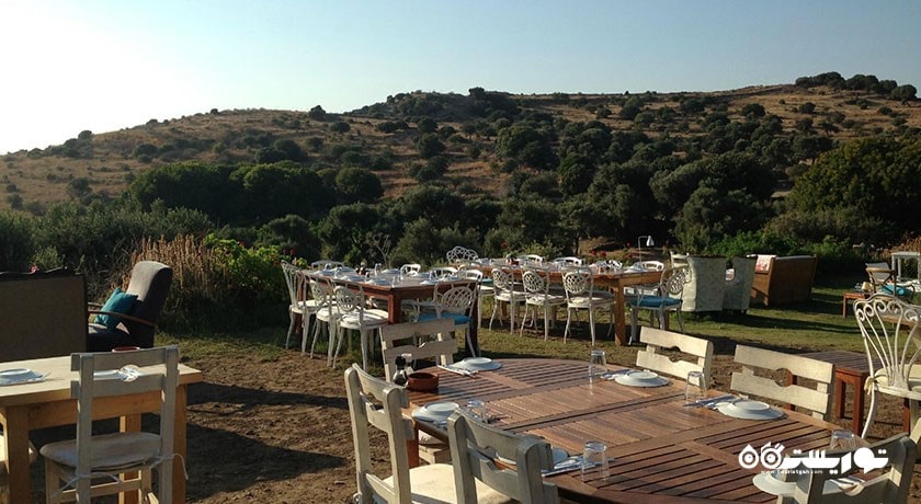 رستوران رستوران لیمون شهر بدروم 