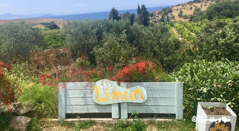 رستوران رستوران لیمون شهر بدروم 