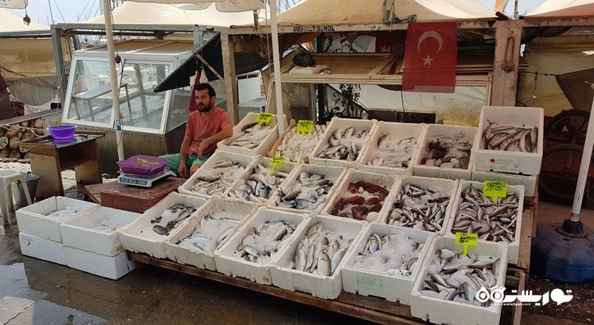 سرگرمی یالیکاواک مارینا شهر ترکیه کشور بدروم