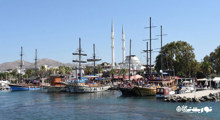 سرگرمی دی مارین مارینا تورگوتریس شهر ترکیه کشور بدروم