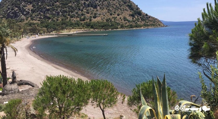 سرگرمی ساحل شتر شهر ترکیه کشور بدروم