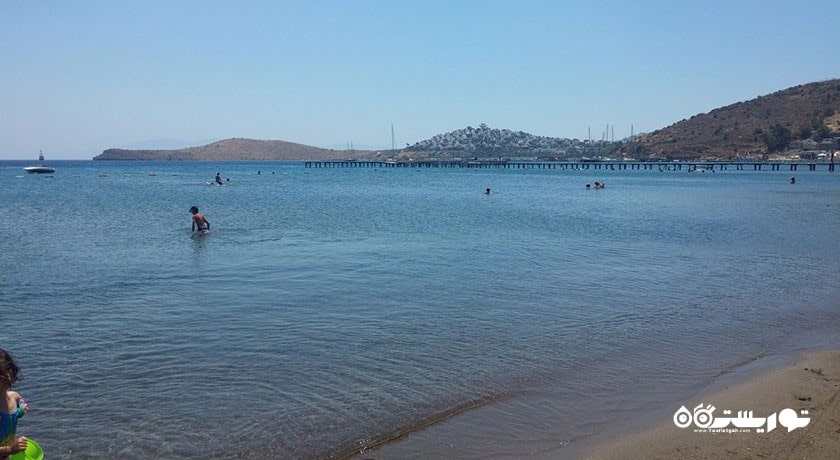 سرگرمی ساحل شتر شهر ترکیه کشور بدروم