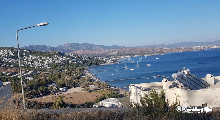 سرگرمی ساحل شتر شهر ترکیه کشور بدروم