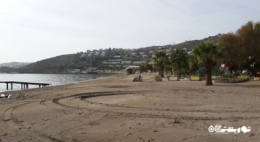 سرگرمی ساحل شتر شهر ترکیه کشور بدروم