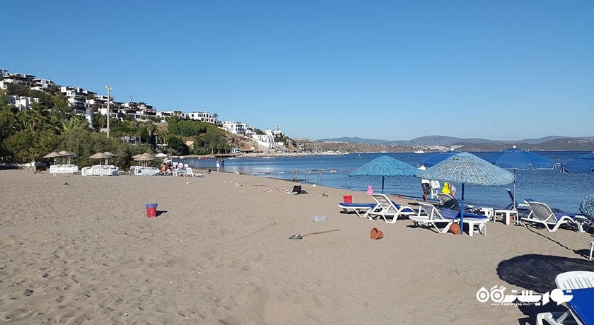 سرگرمی ساحل شتر شهر ترکیه کشور بدروم