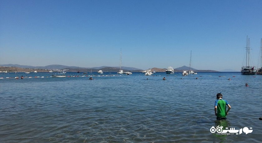 سرگرمی ساحل شتر شهر ترکیه کشور بدروم
