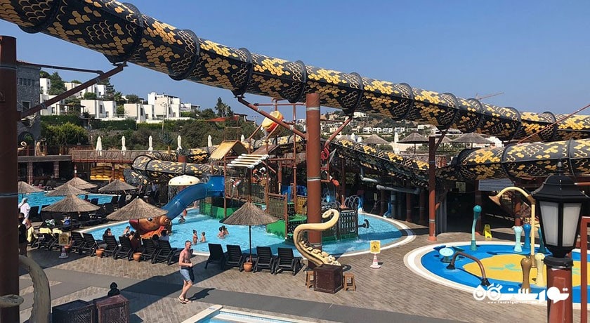 سرگرمی پارک آبی پایرتس این کاکتوس شهر ترکیه کشور بدروم