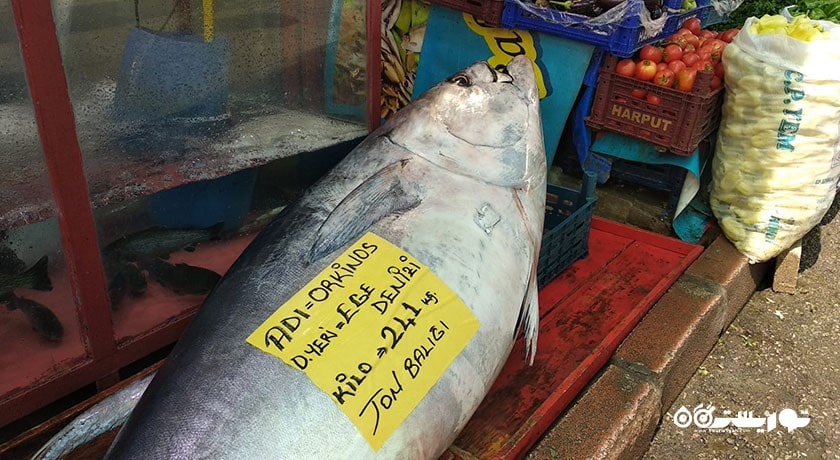 ماهیگیری در دریای اژه  -  شهر بدروم