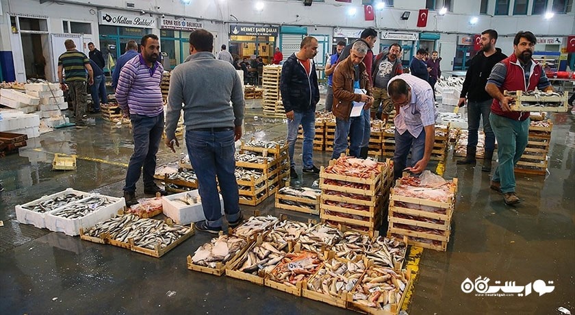 سرگرمی ماهیگیری در دریای اژه  شهر ترکیه کشور بدروم