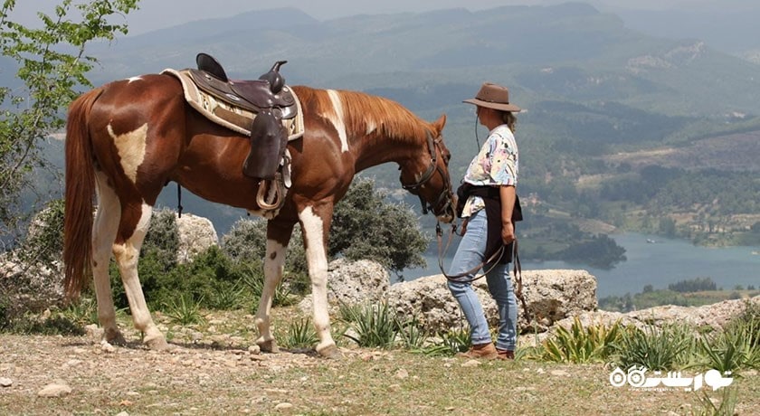 سرگرمی اسب سواری در بدروم شهر ترکیه کشور بدروم