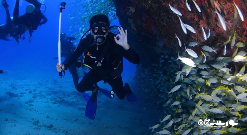 سرگرمی غواصی در بدروم شهر ترکیه کشور بدروم