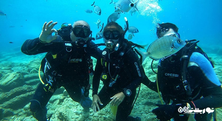 سرگرمی غواصی در بدروم شهر ترکیه کشور بدروم
