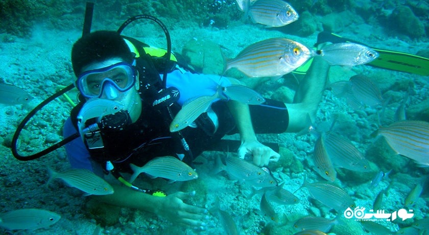 سرگرمی غواصی در بدروم شهر ترکیه کشور بدروم