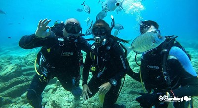 سرگرمی غواصی در بدروم شهر ترکیه کشور بدروم
