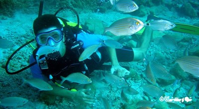 سرگرمی غواصی در بدروم شهر ترکیه کشور بدروم