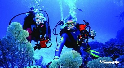 سرگرمی غواصی در بدروم شهر ترکیه کشور بدروم