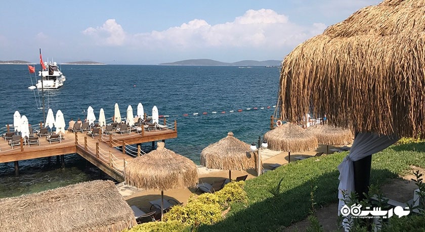 سرگرمی ساحل توربا شهر ترکیه کشور بدروم