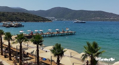 سرگرمی ساحل توربا شهر ترکیه کشور بدروم