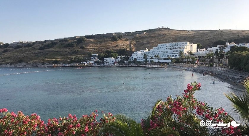 ساحل بارداکچی -  شهر بدروم