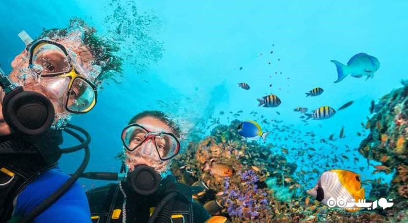 سرگرمی غواصی در مارماریس شهر ترکیه کشور مارماریس