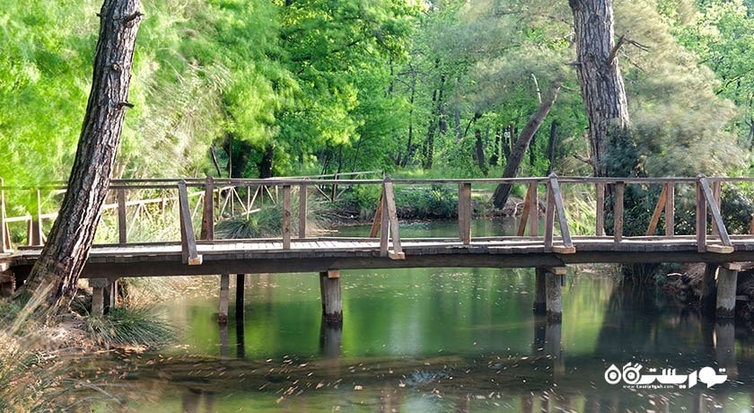 سرگرمی پارک ملی گونوجک شهر ترکیه کشور مارماریس