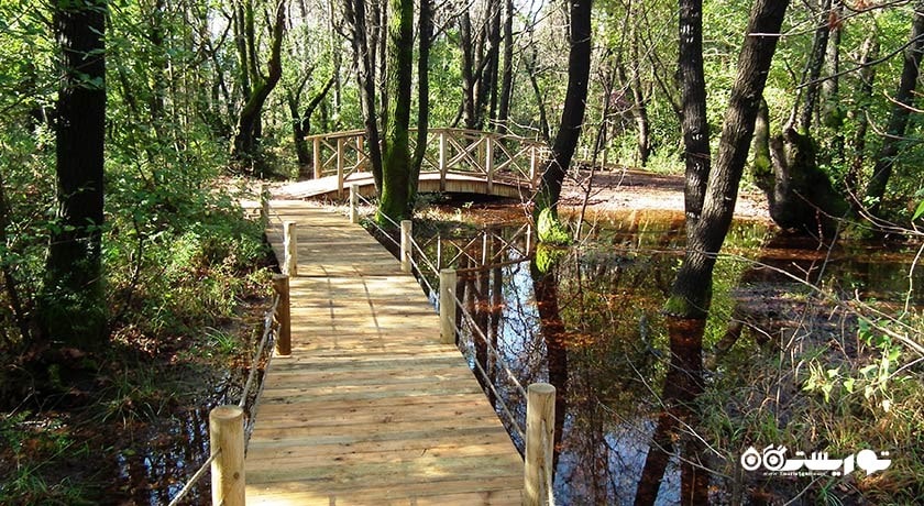 پارک ملی گونوجک -  شهر مارماریس