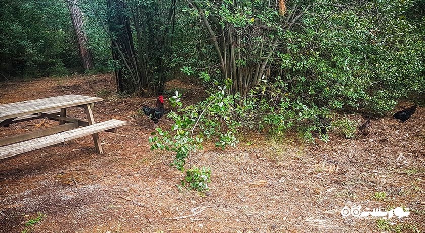 پارک ملی گونوجک -  شهر مارماریس