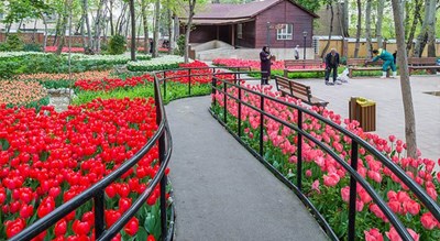  بوستان ایرانی شهر تهران استان تهران
