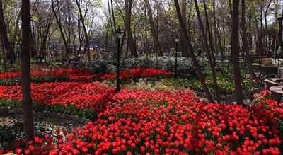 بوستان ایرانی -  شهر تهران