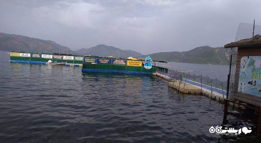 سرگرمی دلفین لند شهر ترکیه کشور مارماریس