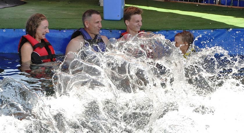 سرگرمی دلفین لند شهر ترکیه کشور مارماریس