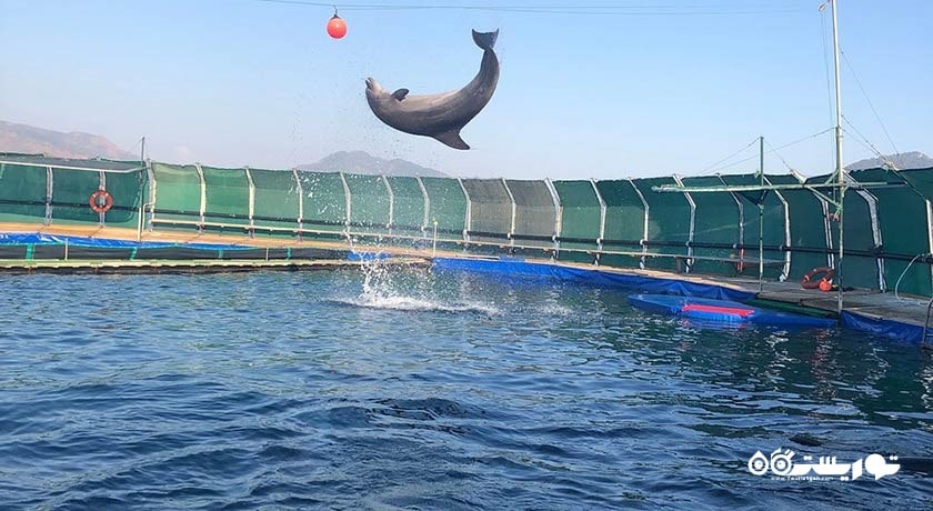 دلفین لند -  شهر مارماریس