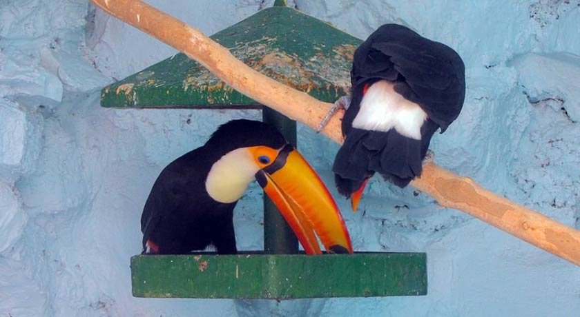 باغ پرندگان اصفهان -  شهر اصفهان