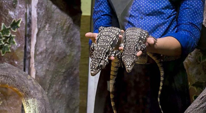  باغ خزندگان شهر اصفهان استان اصفهان