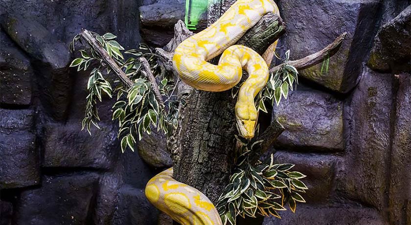  باغ خزندگان شهر اصفهان استان اصفهان