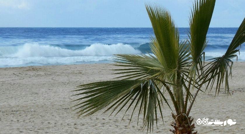 سرگرمی ساحل کلئوپاترا شهر ترکیه کشور آلانیا