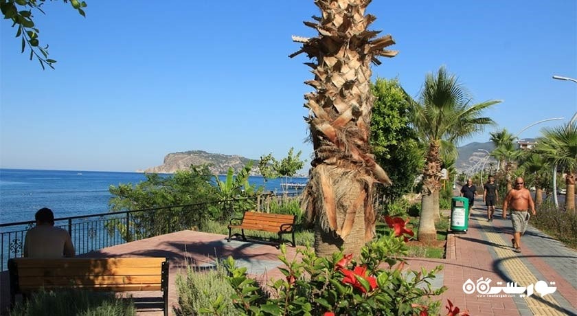 سرگرمی ساحل پورتکال شهر ترکیه کشور آلانیا